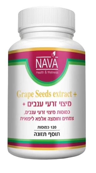 תמונת מוצר 1