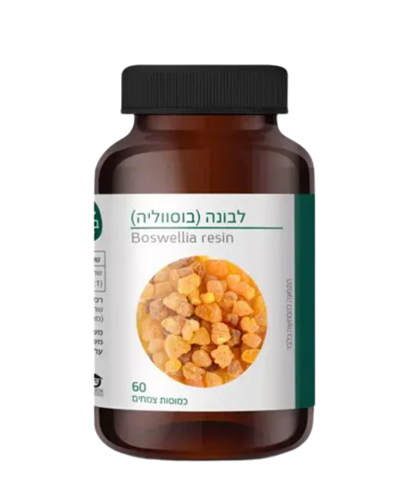 תמונת מוצר 1