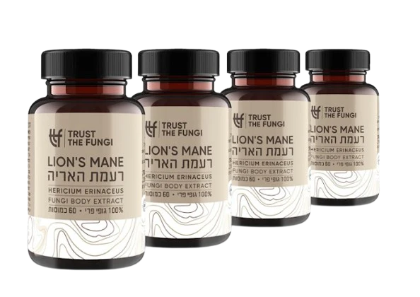 תמונת מוצר 1