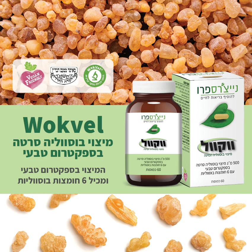 תמונת מוצר 2