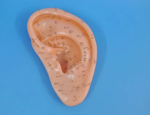 תמונה ממוזערת 1