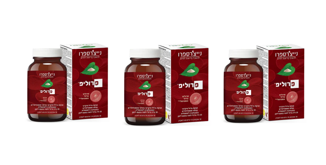 תמונת מוצר 1