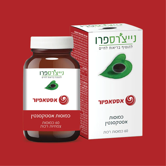 תמונת מוצר 3