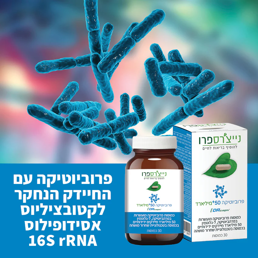 תמונת מוצר 2